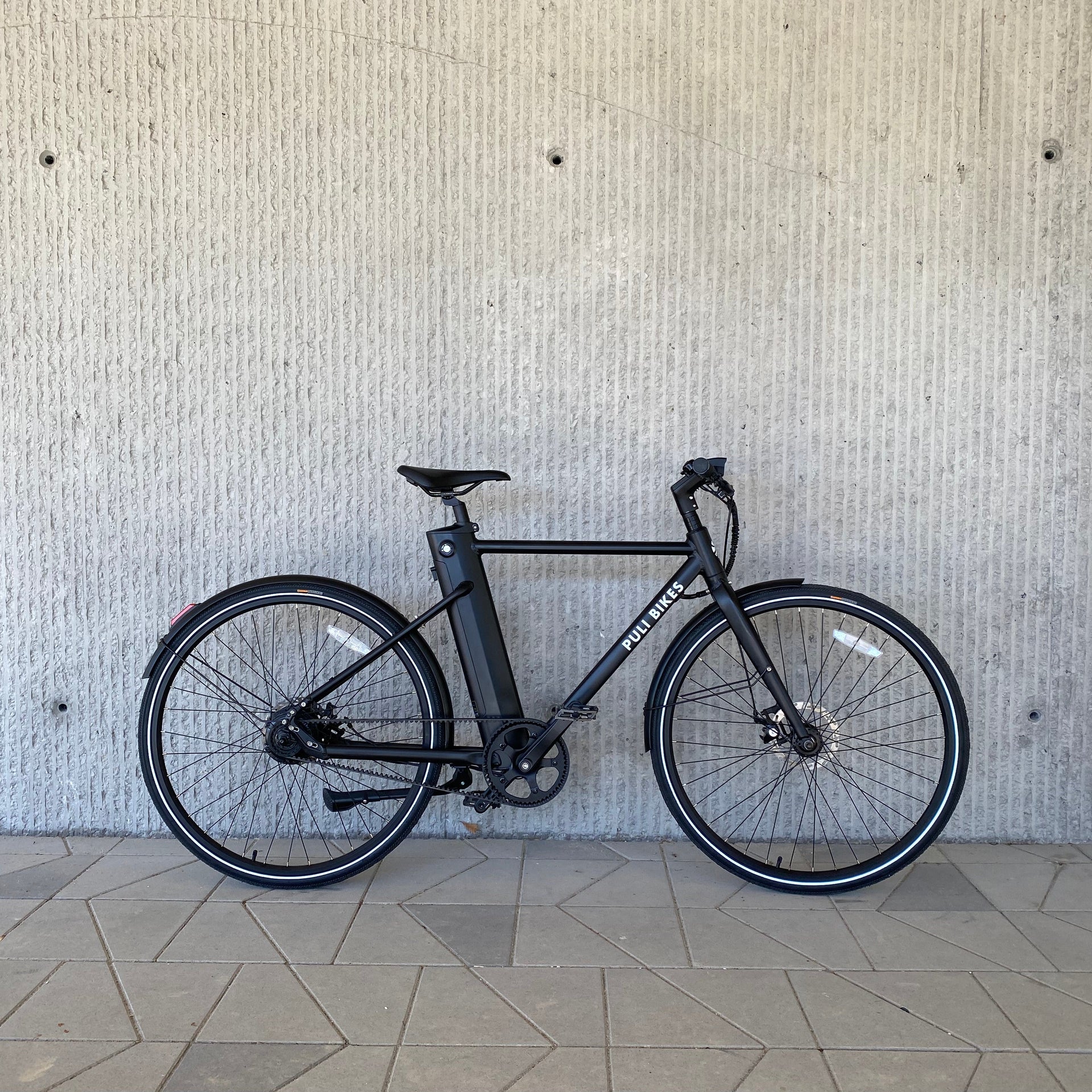 Classic Frame ebike Puli Bikes